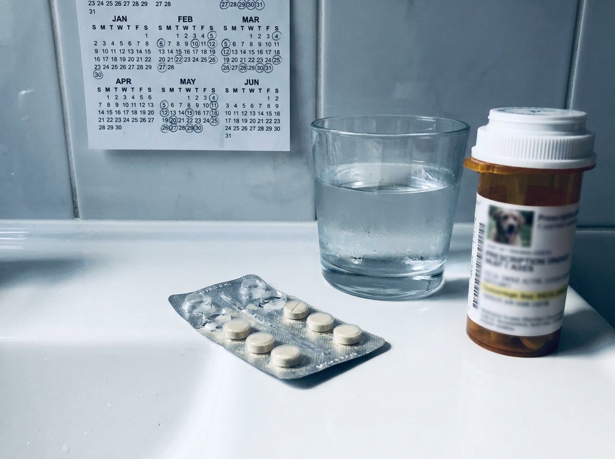 Monthly pet medication ritual — blister pack, calendar circled